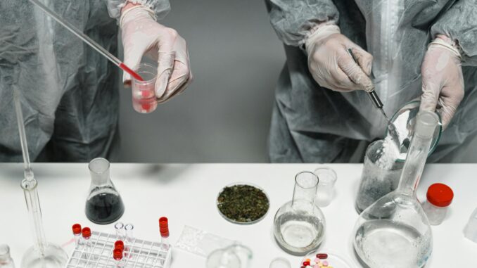 La farmacia: tra innovazione e storia